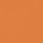 BRAAS BA/DA Thermo-Verdunkelungsrollo, terra